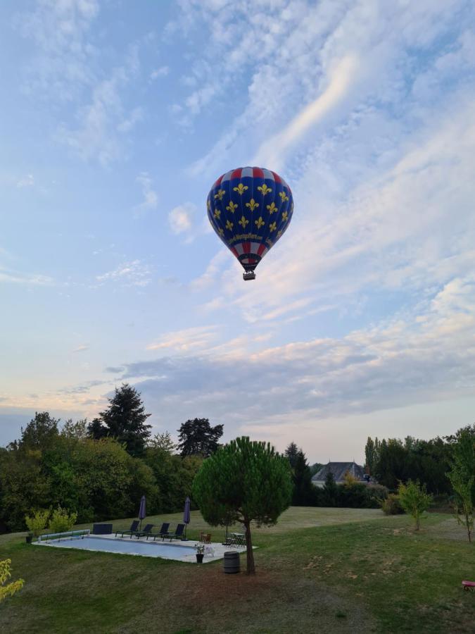 Le Pressoir De La Metairie Villa Francueil Bagian luar foto