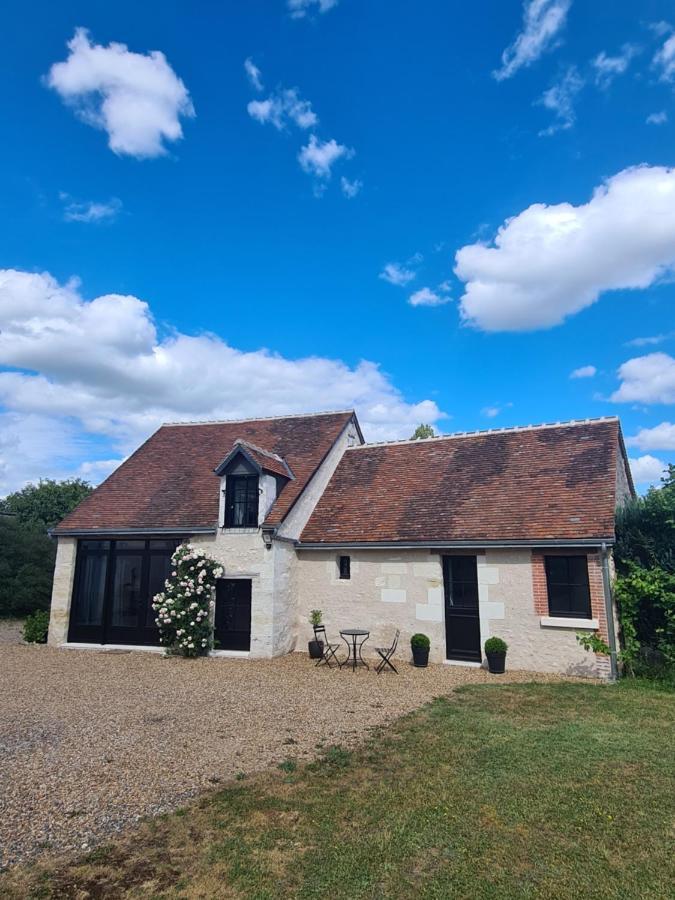 Le Pressoir De La Metairie Villa Francueil Bagian luar foto